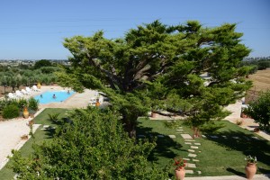 Trulli dal Conte, bed and breakfast